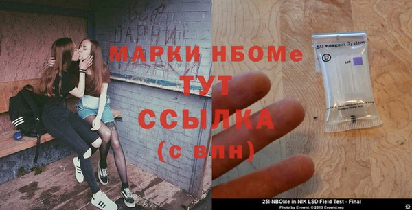 индика Сатка