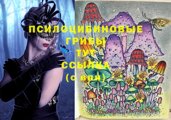 альфа пвп Армянск