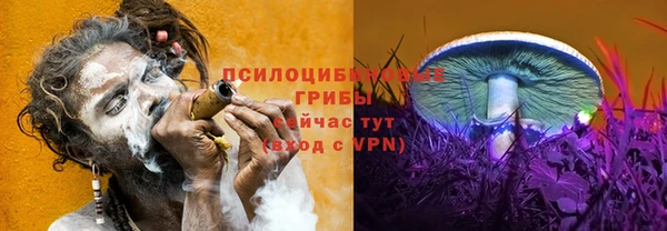 mdpv Алзамай