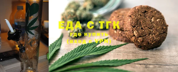 индика Сатка