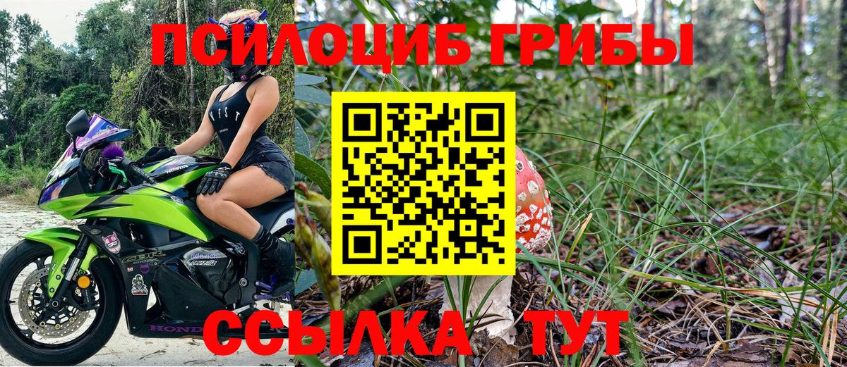Псилоцибиновые грибы Cubensis  Вход с VPN  Псилоцибиновые грибы мухоморы  Еманжелинск 
